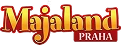Hlavní partner